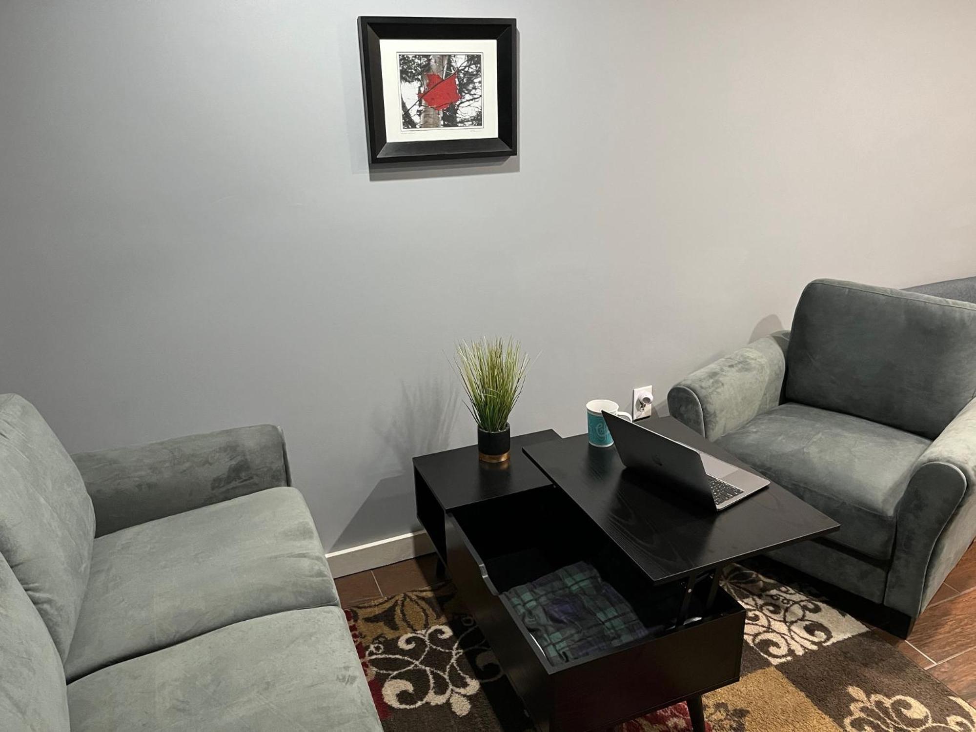 Plush Garden Level Apartment Near Stowe Morristown المظهر الخارجي الصورة