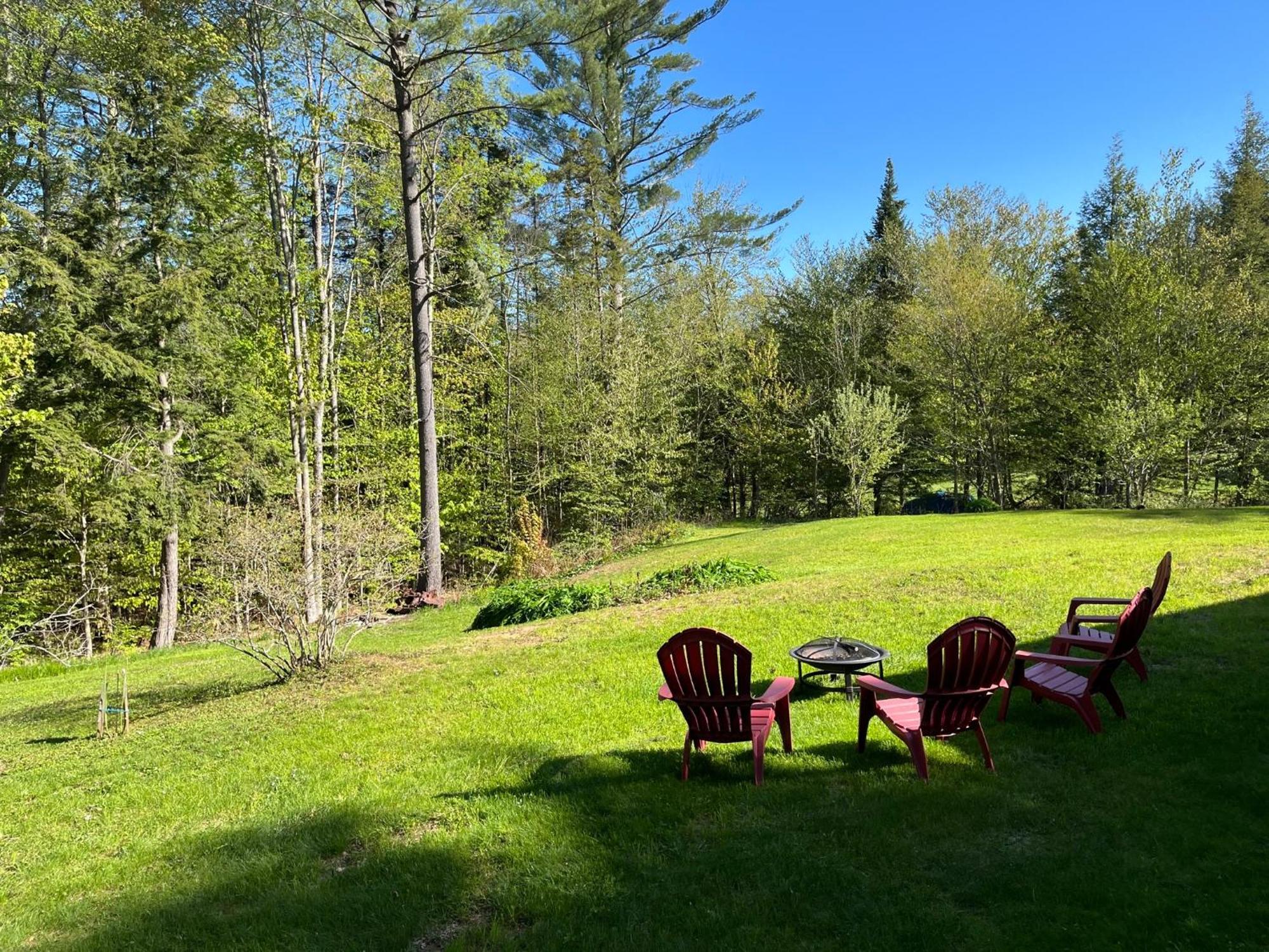 Plush Garden Level Apartment Near Stowe Morristown المظهر الخارجي الصورة